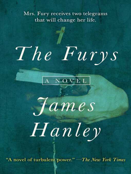 Cover image for The Furys